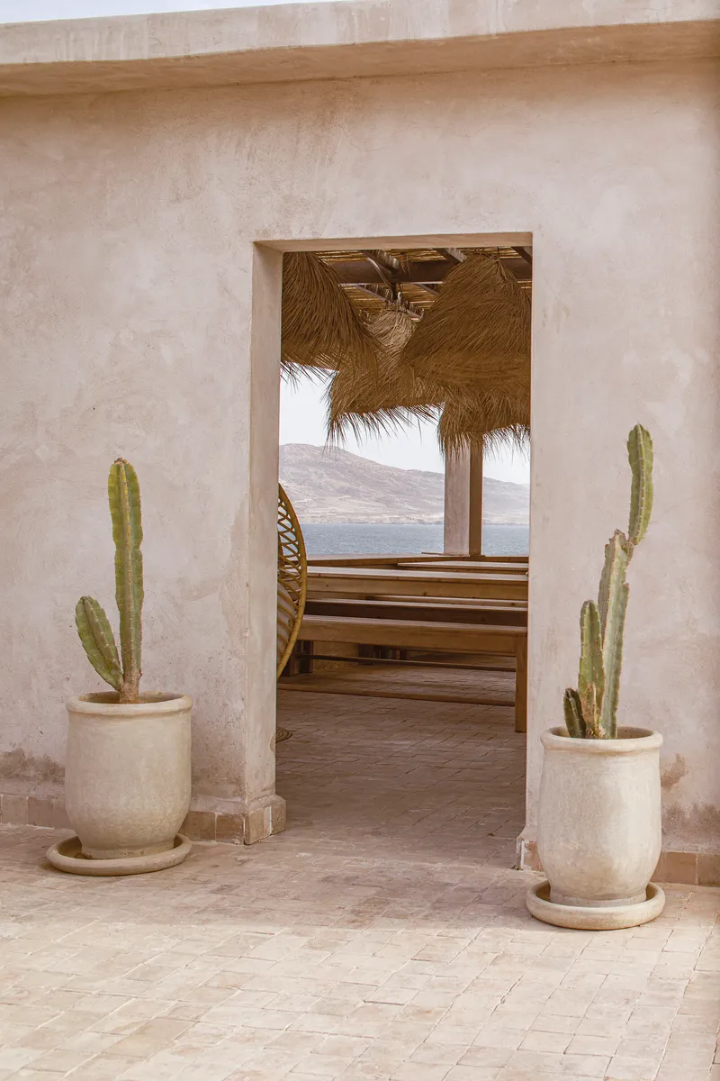 Doorway framed by potted cacti opening to a timber deck with thatch shade structure beyond