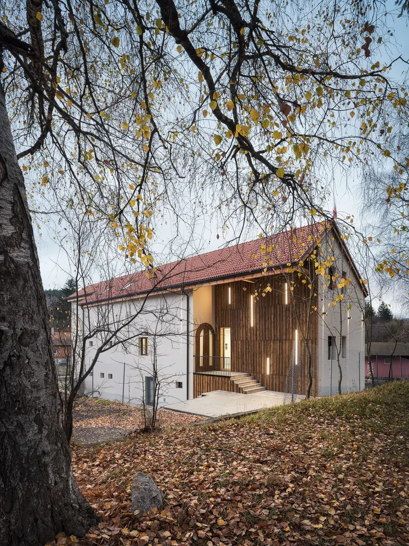 Timber-clad entrance extension beneath a terracotta tile roof framed by a tree with autumn leaves