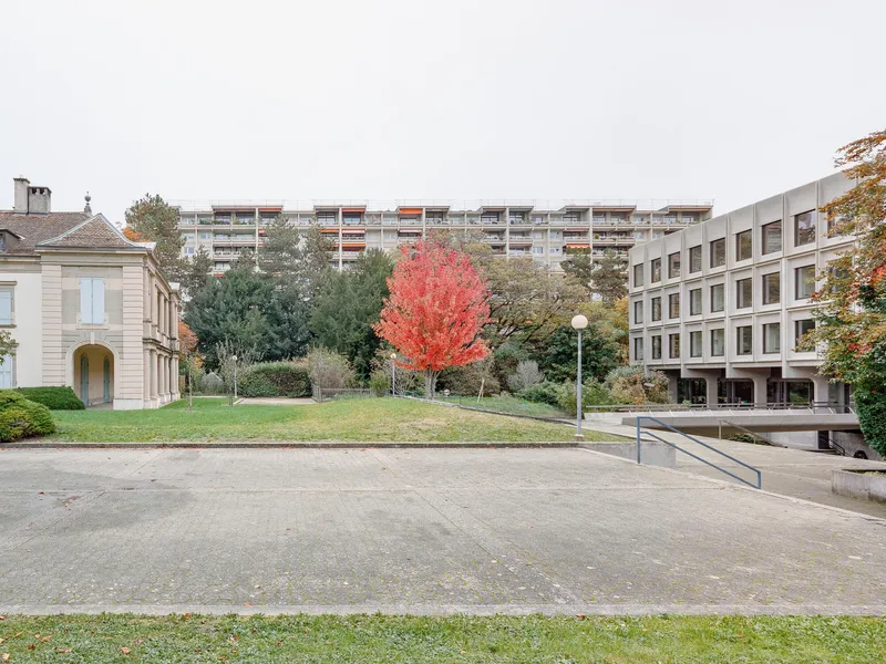 Courtyard view with pavilion, residential blocks and red-leaved tree in autumn