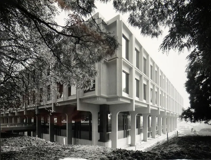 Elevated concrete structure on pilotis with deep recessed windows framed by mature trees in morning mist