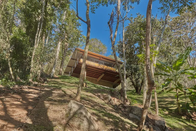 Timber pavilion with overhanging roof nestled on a sloping hillside among eucalyptus trees