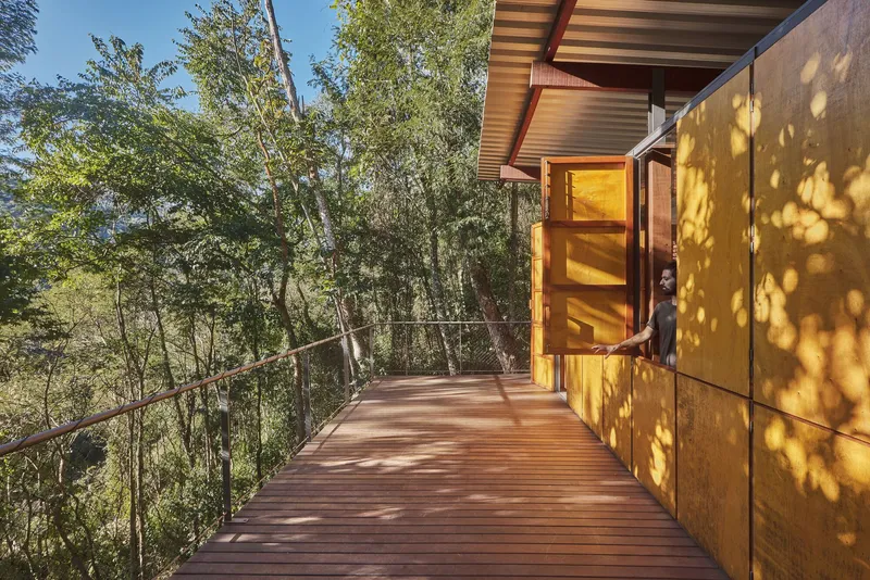 Timber deck with steel cable railing extending from yellow paneled facade with dappled sunlight