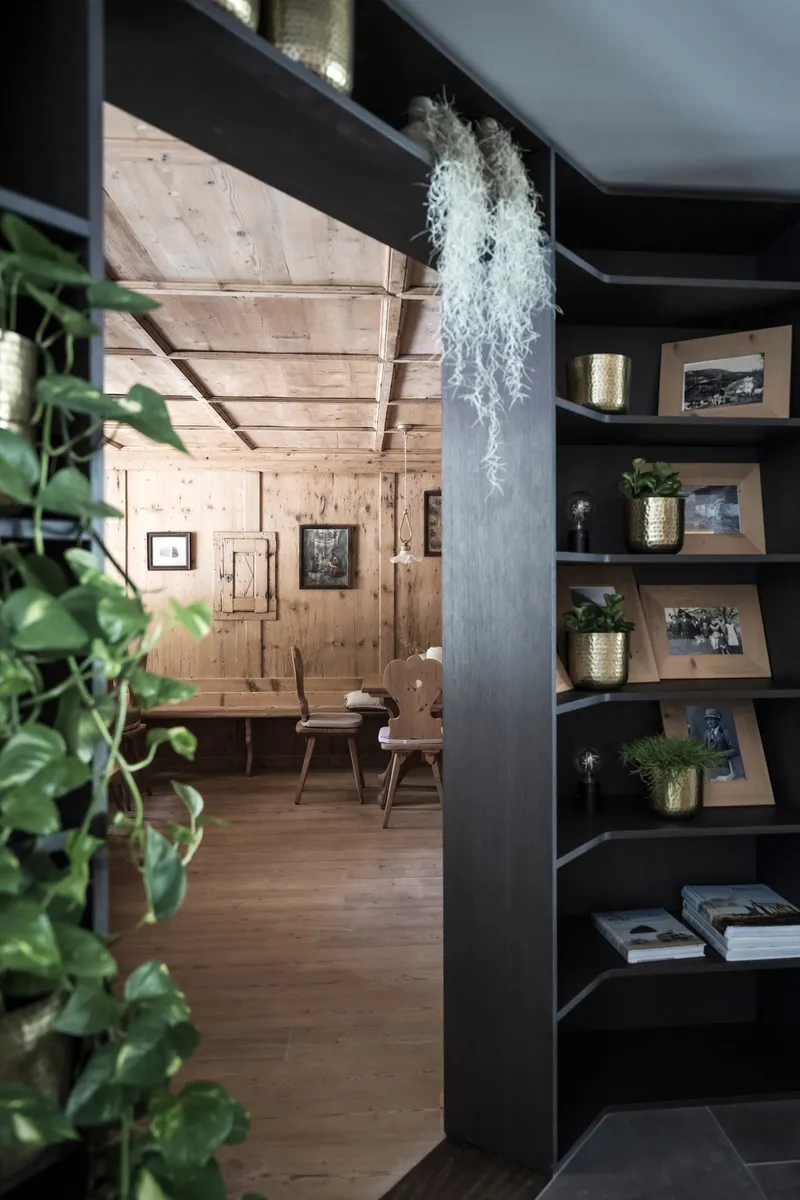 Dark shelving unit with trailing plants adjacent to a timber-clad lounge space with exposed ceiling joists