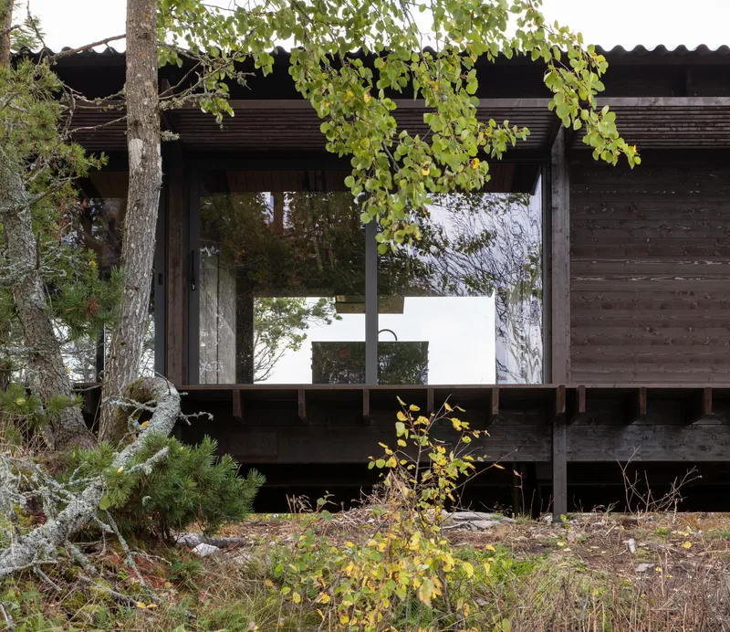 Covered terrace with corrugated metal roof and timber columns framing glass doors beneath overhanging branches