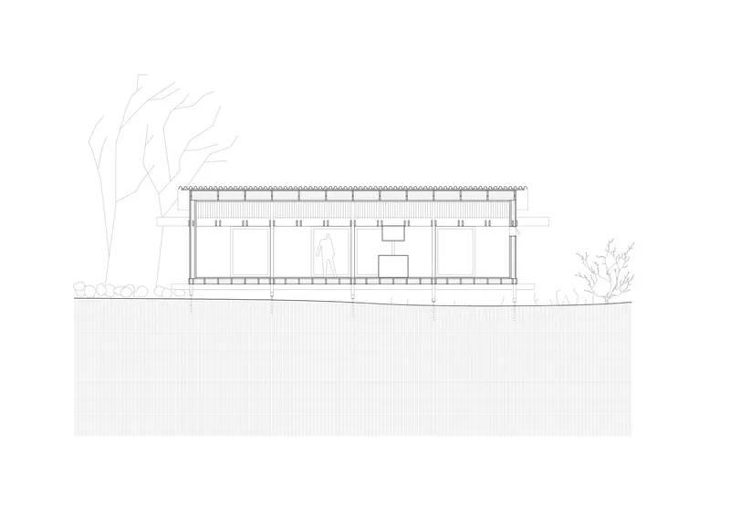 Section drawing revealing the single-story pavilion with corrugated roof set into sloping ground beside leafless trees