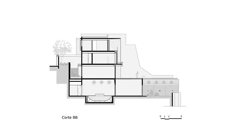 Section drawing showing split-level residence with pool, garage, and adjacent tree