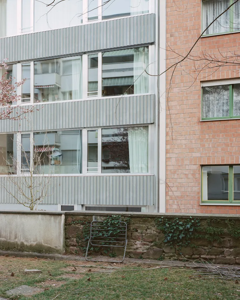 Corrugated metal facade with white window frames next to brick cladding and bare winter branches