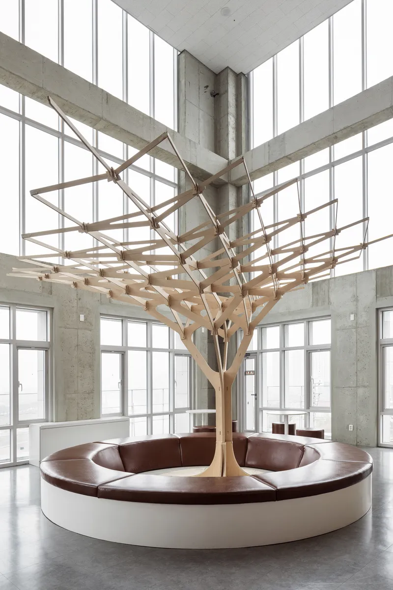 Central timber lattice installation spreading from a single trunk beneath a folded concrete soffit