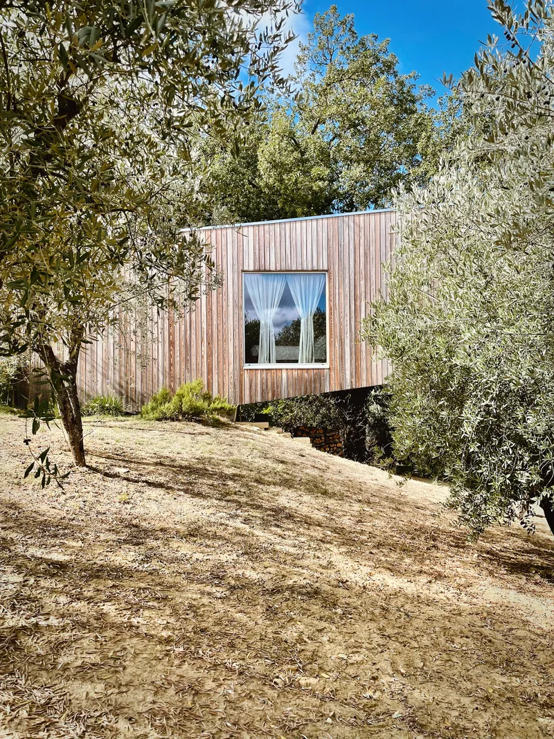 Timber-clad volume elevated on a sloped site surrounded by olive trees and dry grass
