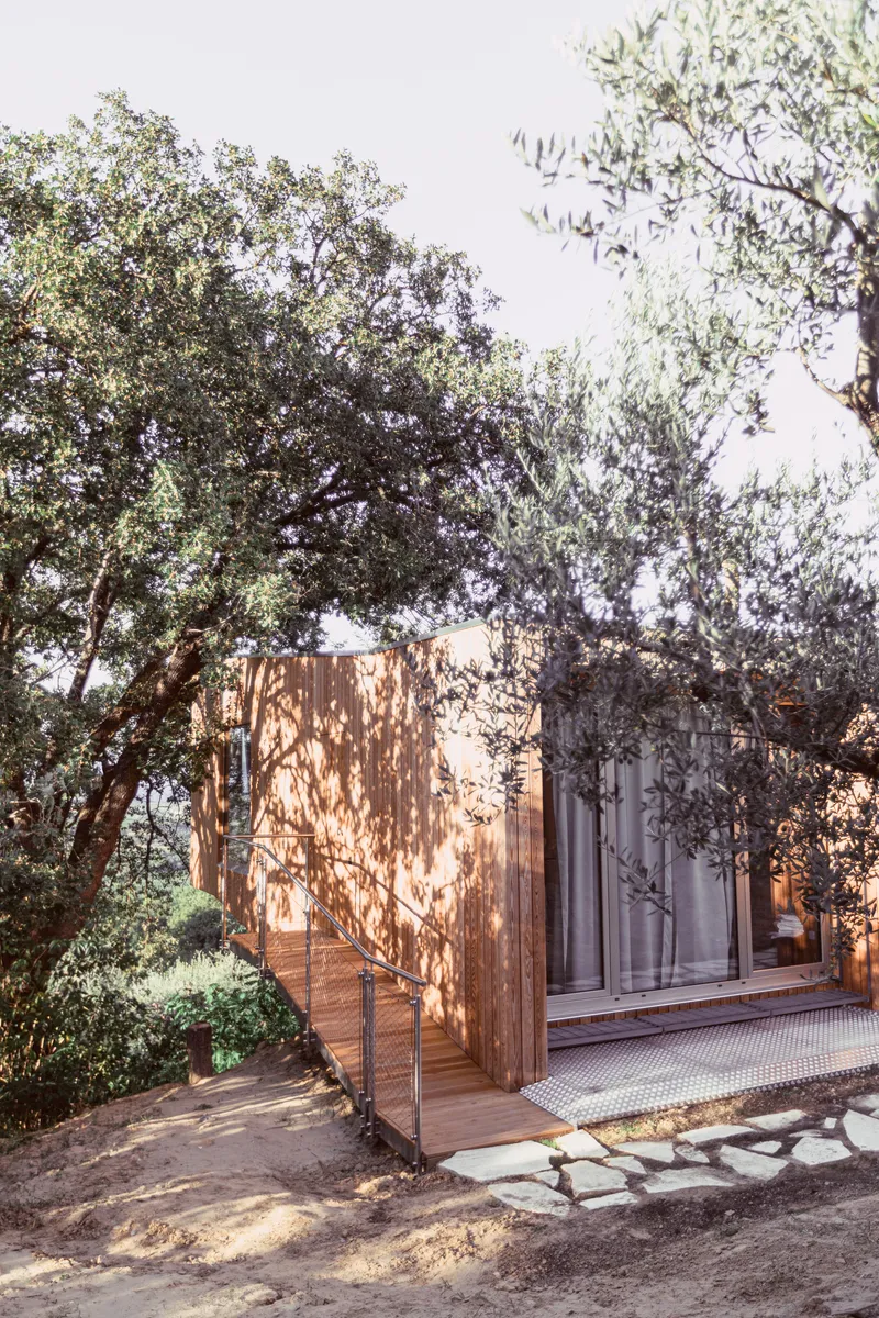 Timber deck and entrance ramp beneath dappled shade from overhanging olive branches at dusk