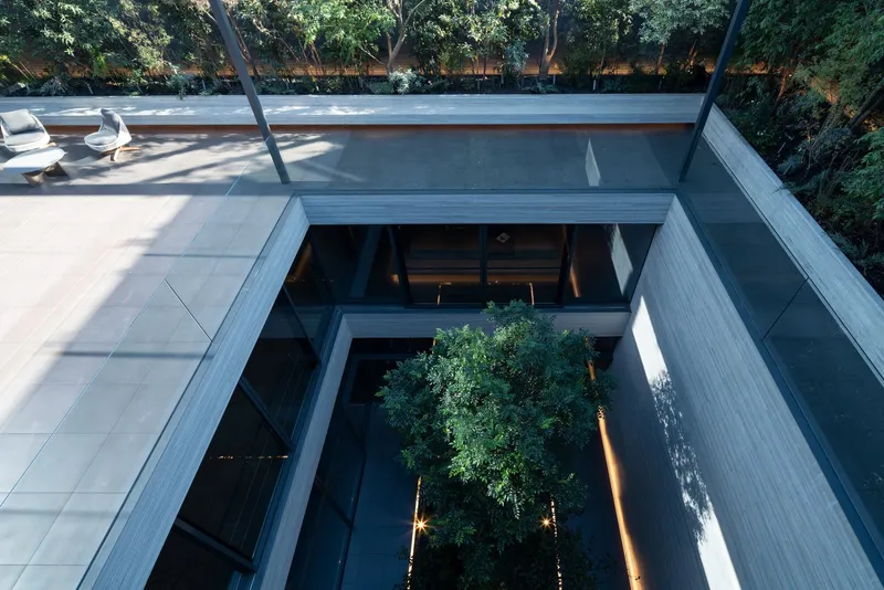 Looking down into a double-height courtyard with a mature tree growing from the lower level