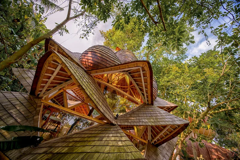 Upward view of exposed timber lattice structure supporting clustered dome roofs surrounded by mature trees