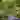 Eco-Friendly icon
