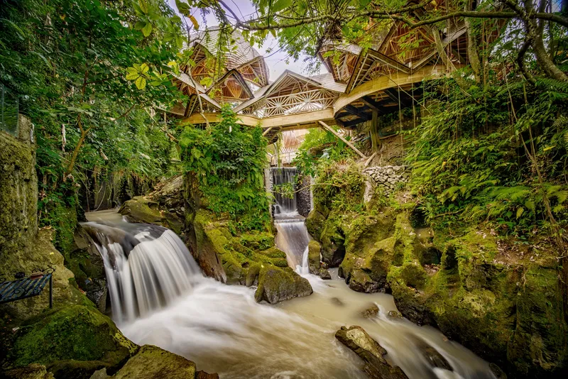Cascading stream flowing beneath a timber bridge structure surrounded by moss-covered rocks and dense vegetation