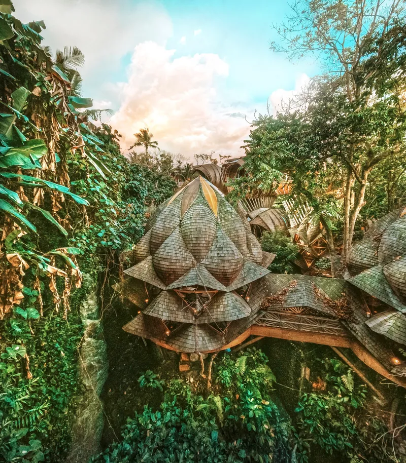 Aerial view of shingled bamboo roof clusters rising through dense tropical vegetation at sunset