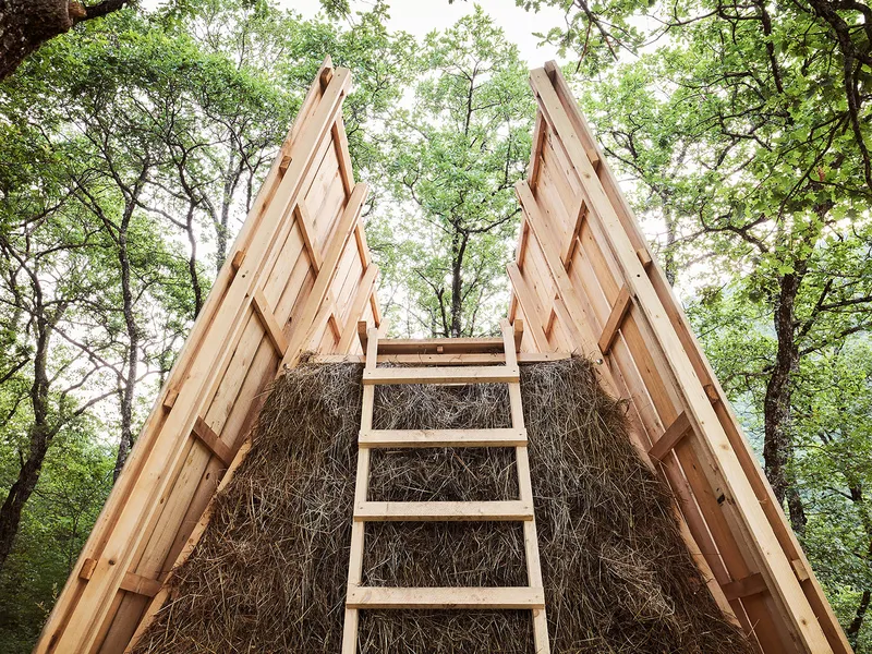 Upward view of the timber ladder and straw-filled walls framed by surrounding trees