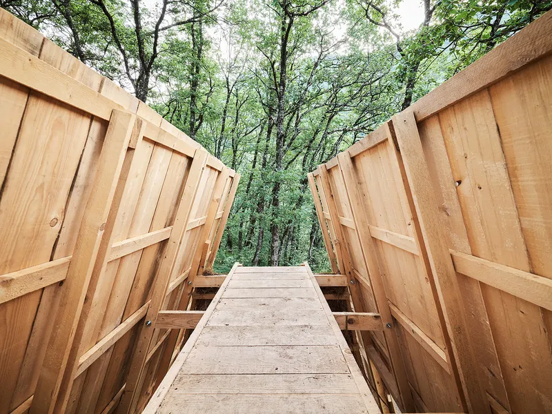 Interior view through the open timber roof structure looking out to the dense forest canopy