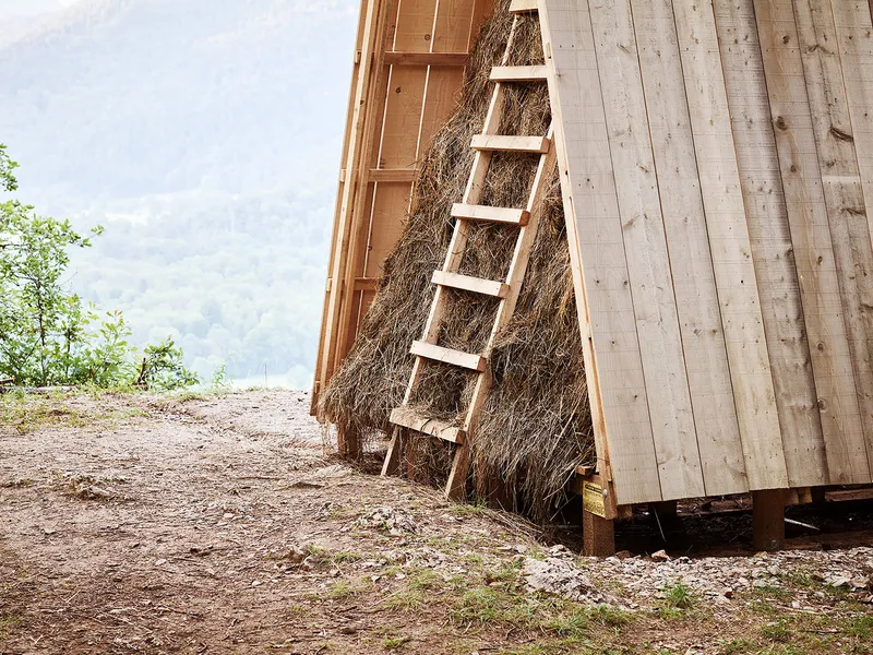 Detail of the timber ladder leaning against straw-filled wall panels at the structure's edge