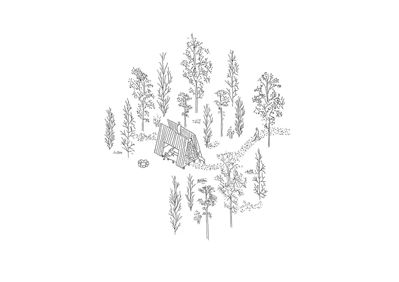 Axonometric drawing of a small cabin nestled among tall trees in a forest clearing