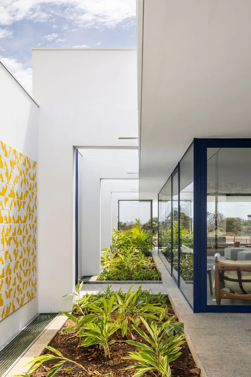 Internal courtyard with planted bed between glazed volumes and yellow geometric tile accent wall