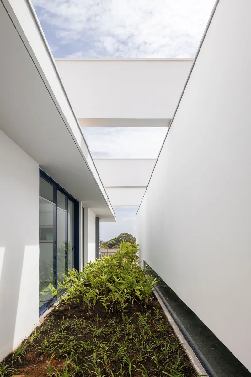 Planted terrace with white walls and overhead skylights framing blue sky and distant trees