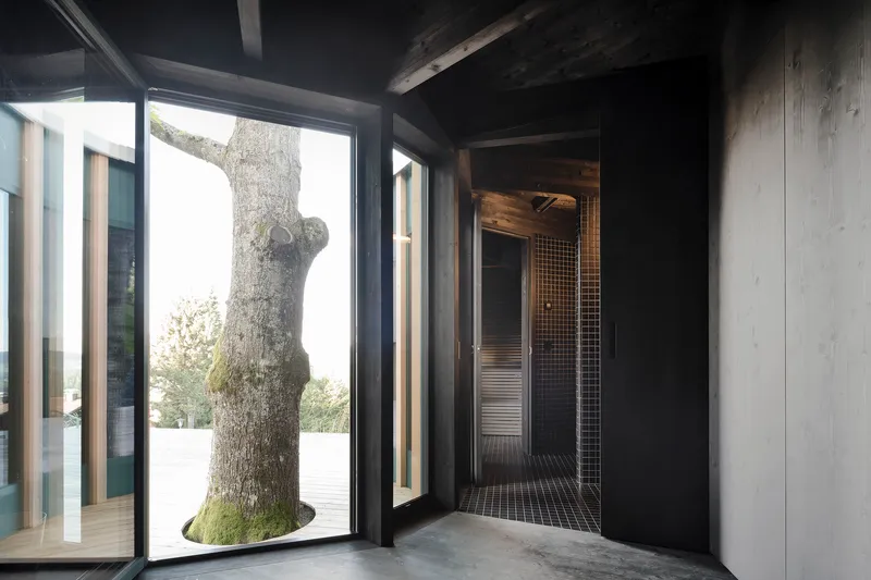 Entry vestibule with dark timber frame enclosing a preserved tree trunk visible through glass