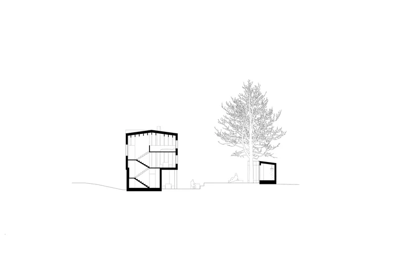 Section drawing showing a two-story volume with internal staircase beside a single-story pavilion and tall conifer