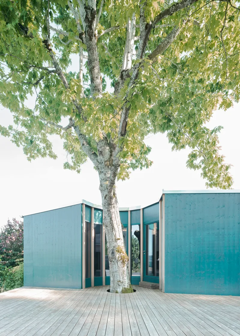 Timber deck terrace with patinated metal wall panels wrapping around an existing mature tree trunk