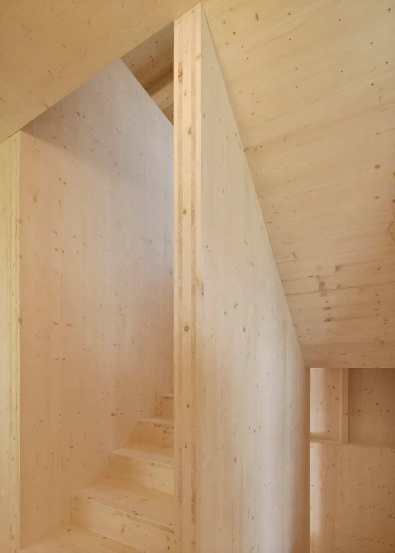 Light wood staircase enclosed by angled plywood walls beneath an exposed timber ceiling