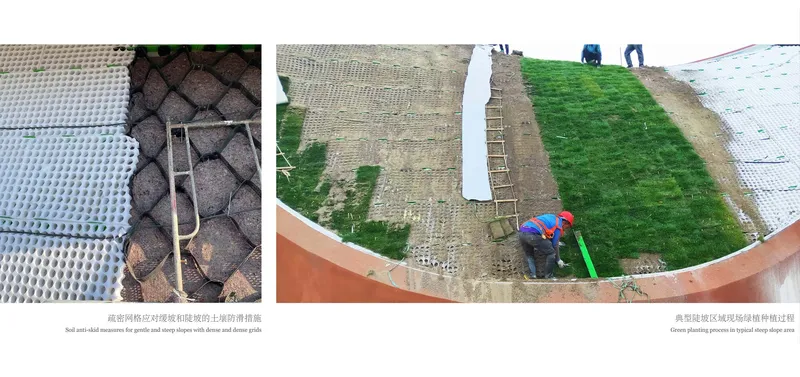 Workers installing green roof sections with mesh drainage layers and sod