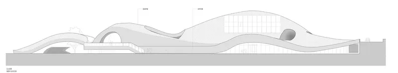 Section drawing depicting undulating roof profiles with curved shells and circular openings