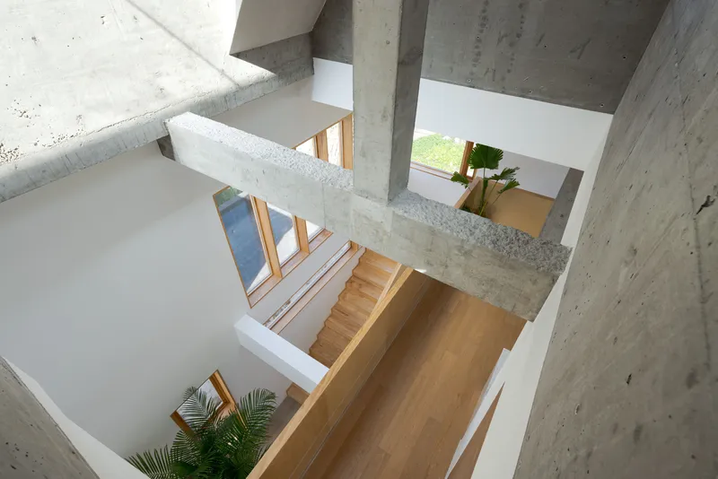 Top-down view of concrete beams crossing over double-height timber stairwell with potted palms below