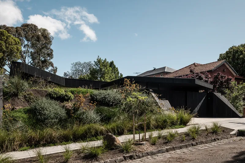 Street view of the angled black timber structure emerging from a planted embankment with native grasses