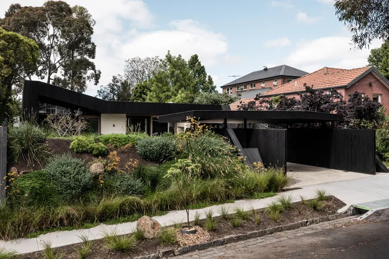 Sloping front garden with layered plantings leading to the angled black timber garage and roofline