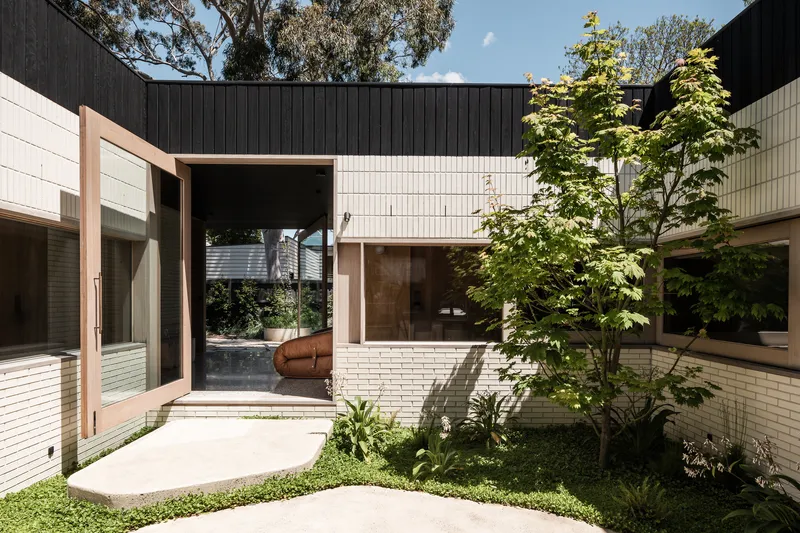 Internal courtyard with planted lawn, young tree and cream brick walls wrapping black timber upper volumes