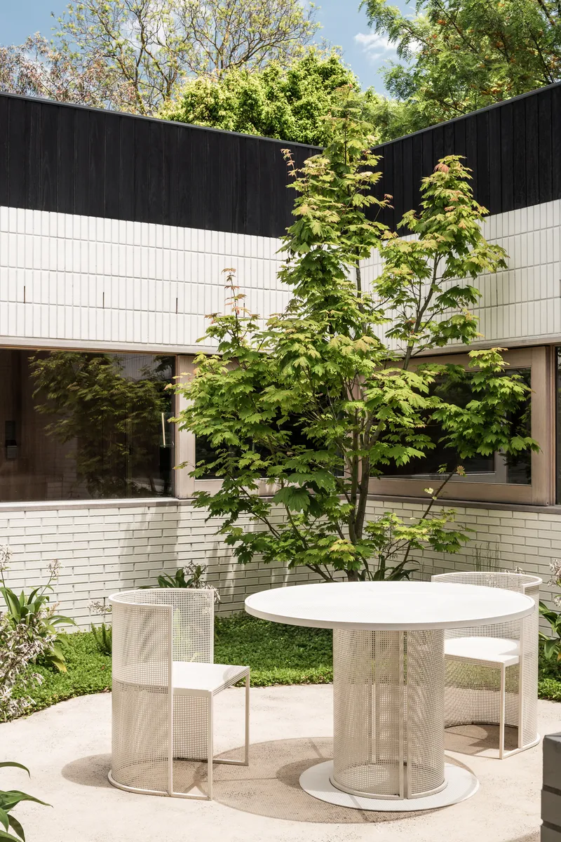 Courtyard terrace with mesh-wrapped dining furniture beneath a Japanese maple and dark timber cladding