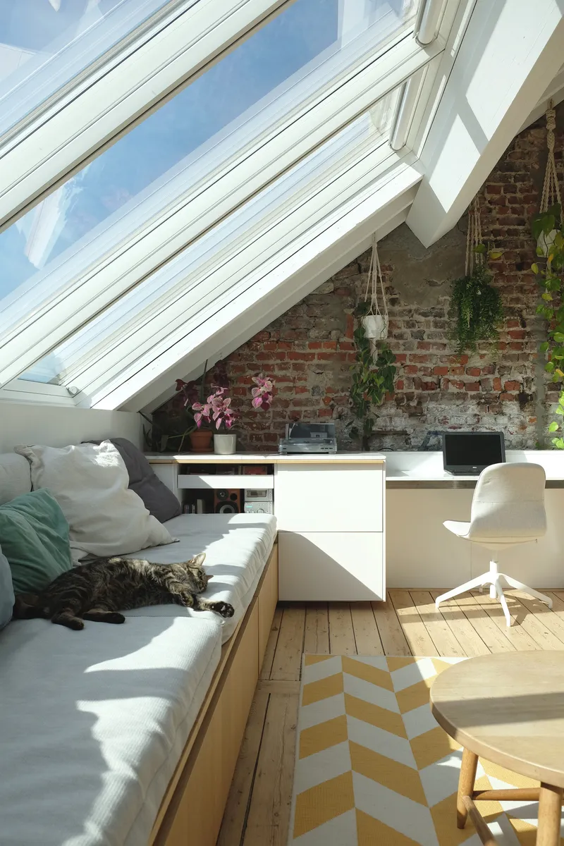 Daybed beneath sloped glazing with exposed brick wall and a cat resting in warm sunlight