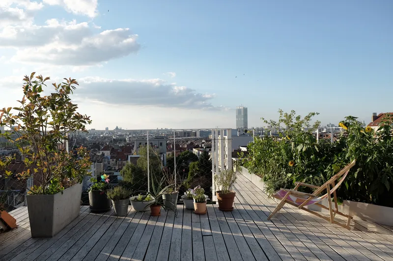Rooftop terrace with timber decking and potted plants overlooking the city skyline at dusk