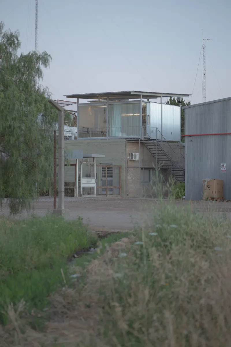 Two-storey glass and corrugated metal pavilion with exterior stair next to a willow tree at dusk