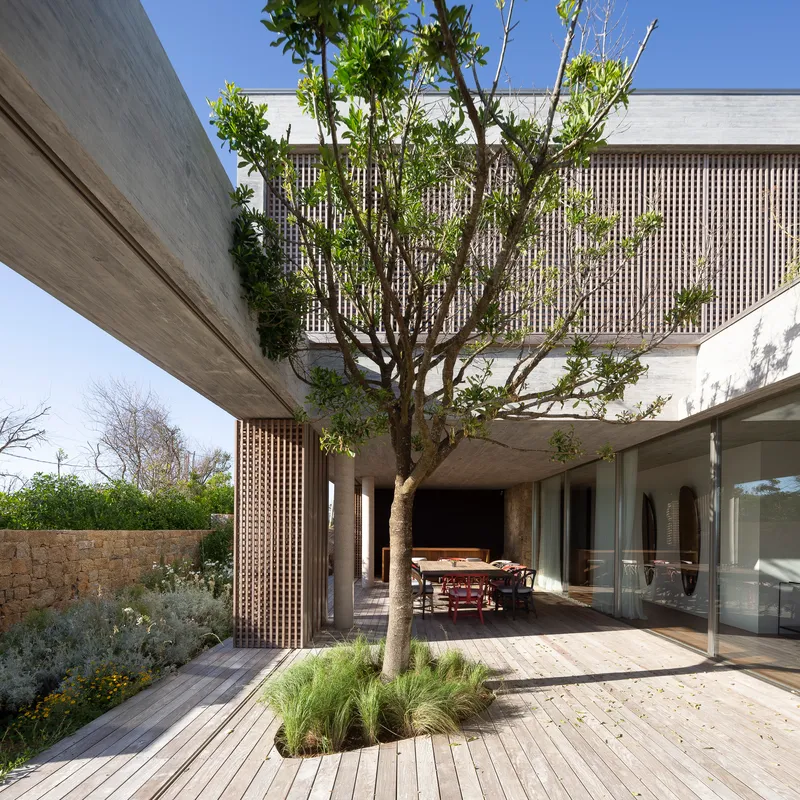 Timber deck terrace with planted tree and vertical timber screens framing a covered dining area