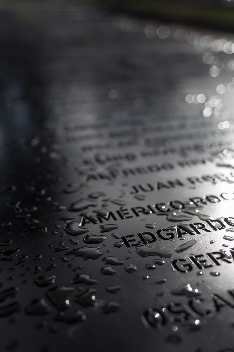Detail of raised engraved letters on black granite memorial surface with rainwater pooling