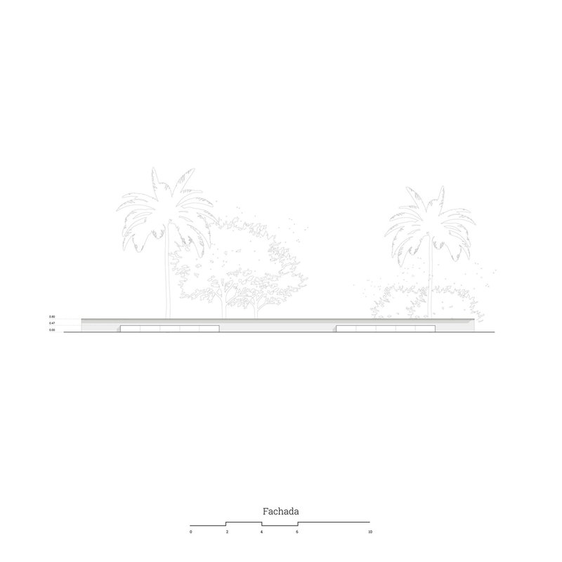 Elevation drawing of a low horizontal structure with palm trees and vegetation in the background