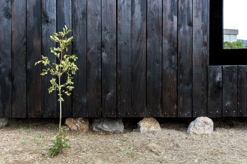 Charred timber cladding with a young sapling and stone foundation blocks on gravel ground