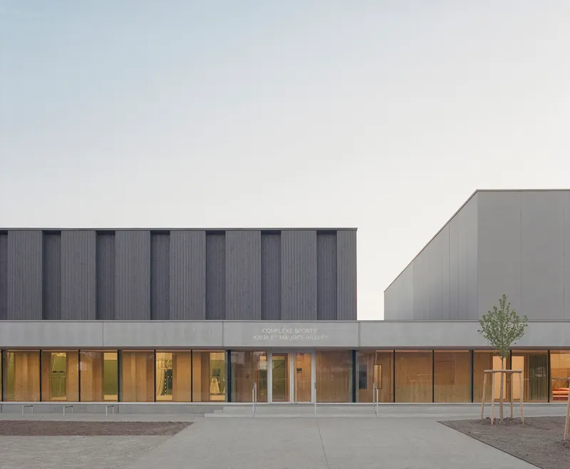 Two-volume facade with ribbed upper cladding and full-height glazed base with young sapling at dusk