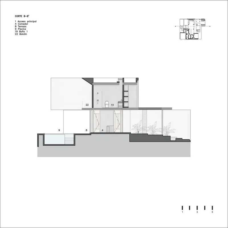 Section drawing revealing sunken entry, multilevel interior spaces and a planted side terrace