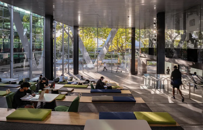Ground floor study space with tiered seating overlooking glazed courtyard filled with afternoon light and trees