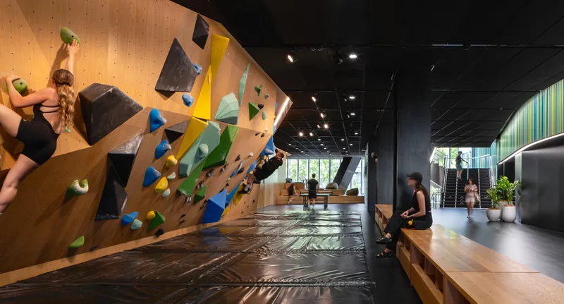 Bouldering wall with multicolored holds in double-height space with crash mats and timber paneling