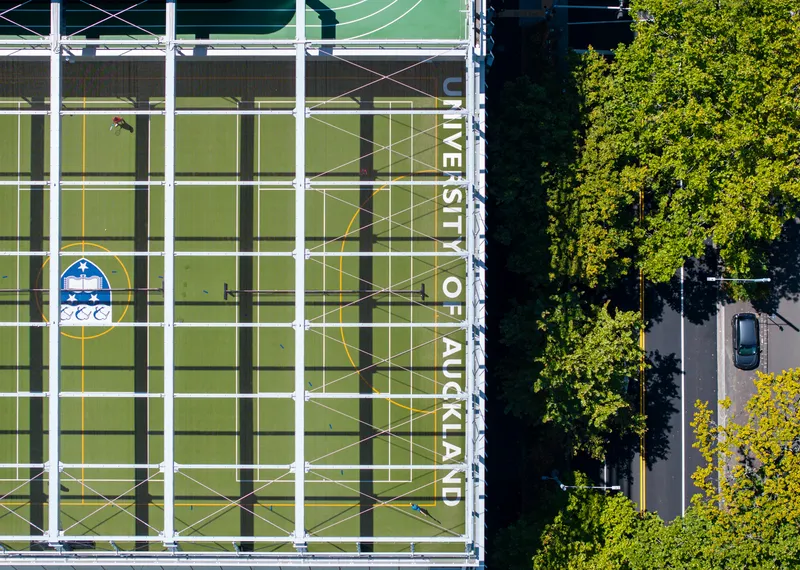 Aerial view of green rooftop sports courts with white grid markings adjacent to tree-lined street