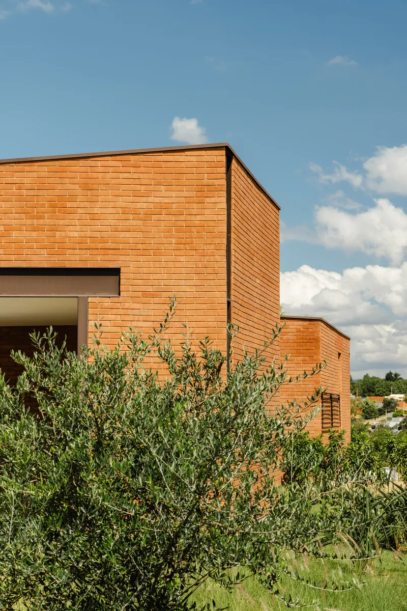 Street facade showing stacked brick volumes and corner window with olive trees in foreground