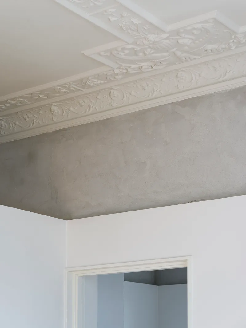 Ornate plaster ceiling molding with floral motifs against a textured grey surface